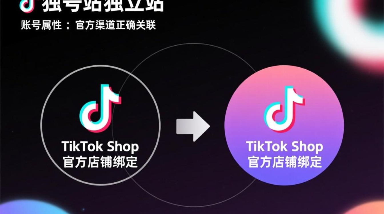 新手玩家必看的培训课程有哪些