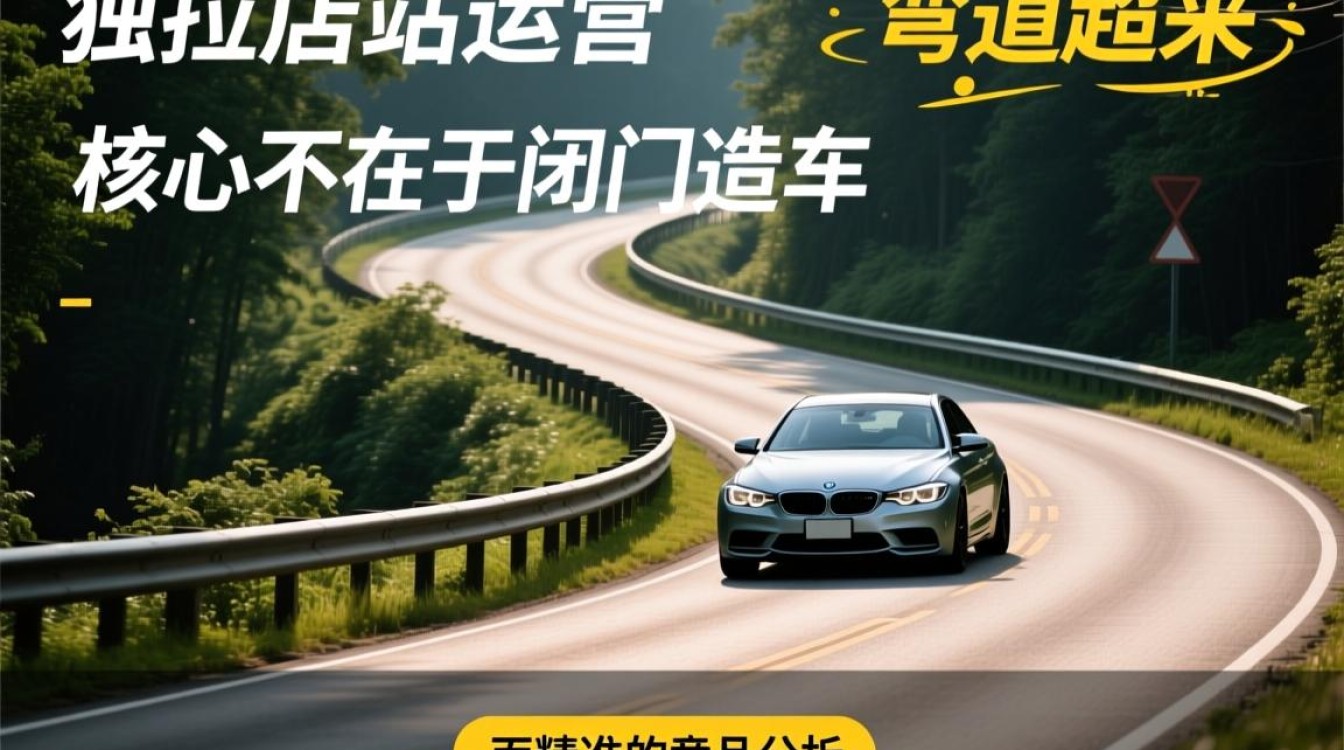 怎么去找同品类独立站