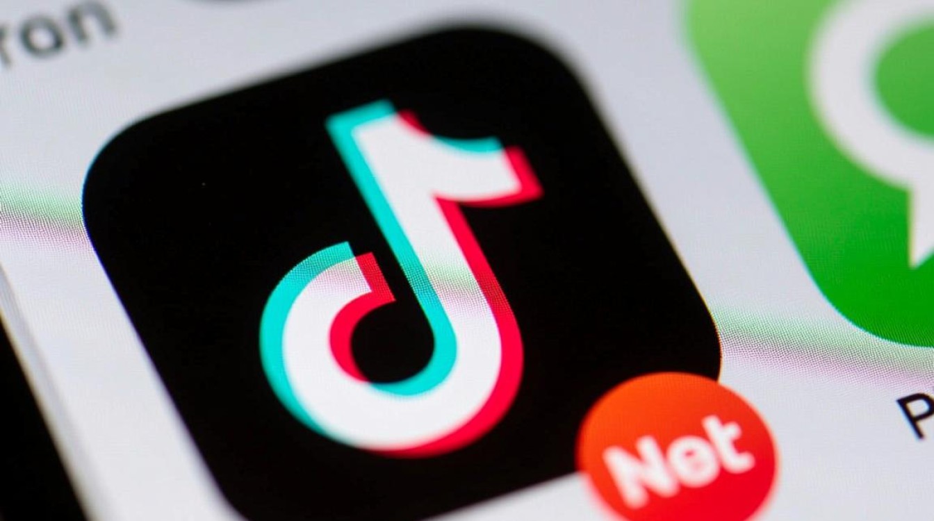 TikTok图标为啥不显示,出海运营指南怎么解决? TikTok图标为啥不显示