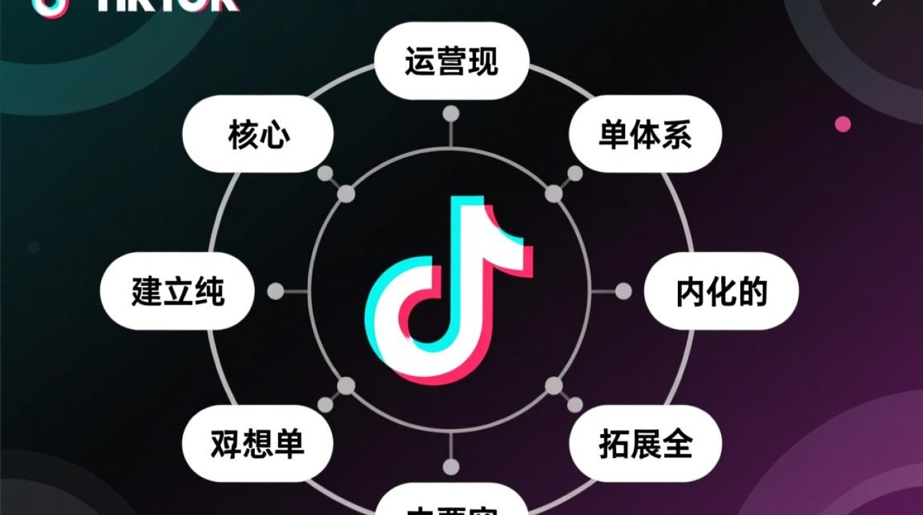 TikTok短视频怎么提取关注,新手如何入局海外市场? TikTok短视频怎么提取关注