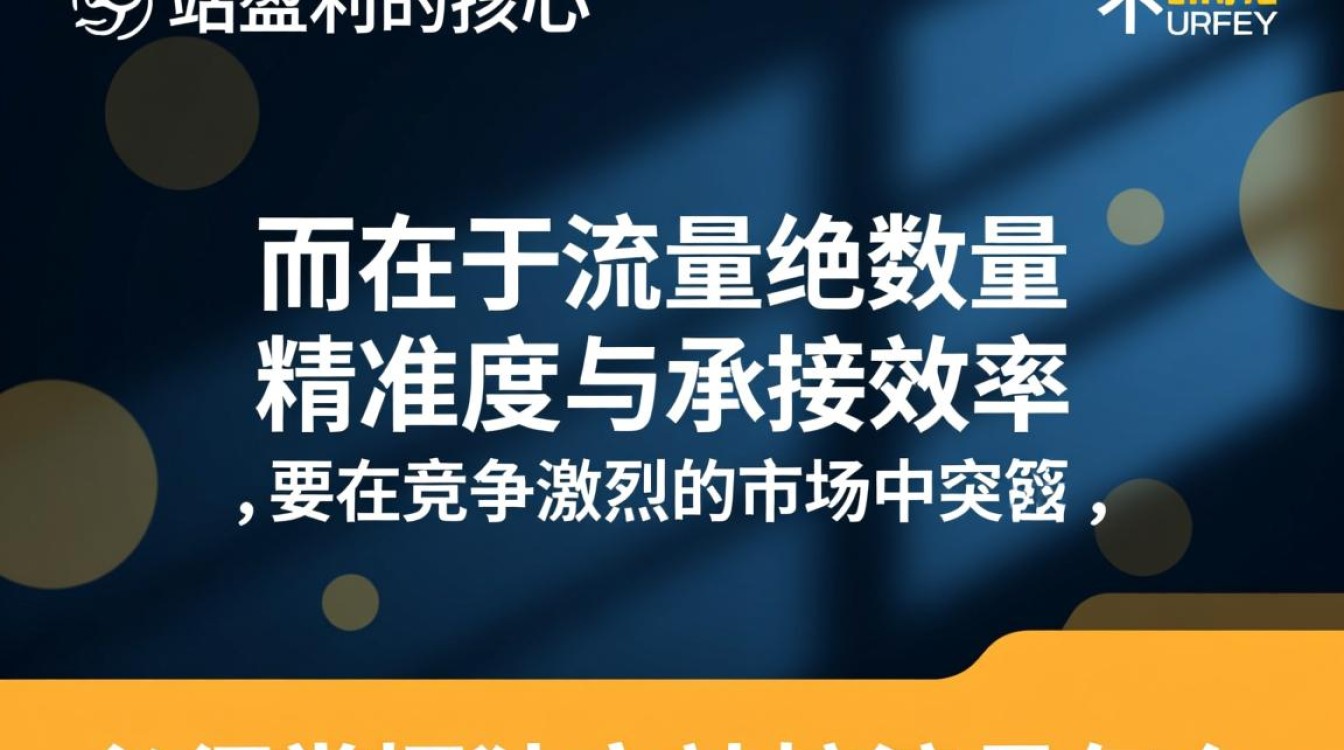 独立站搞流量怎么赚钱