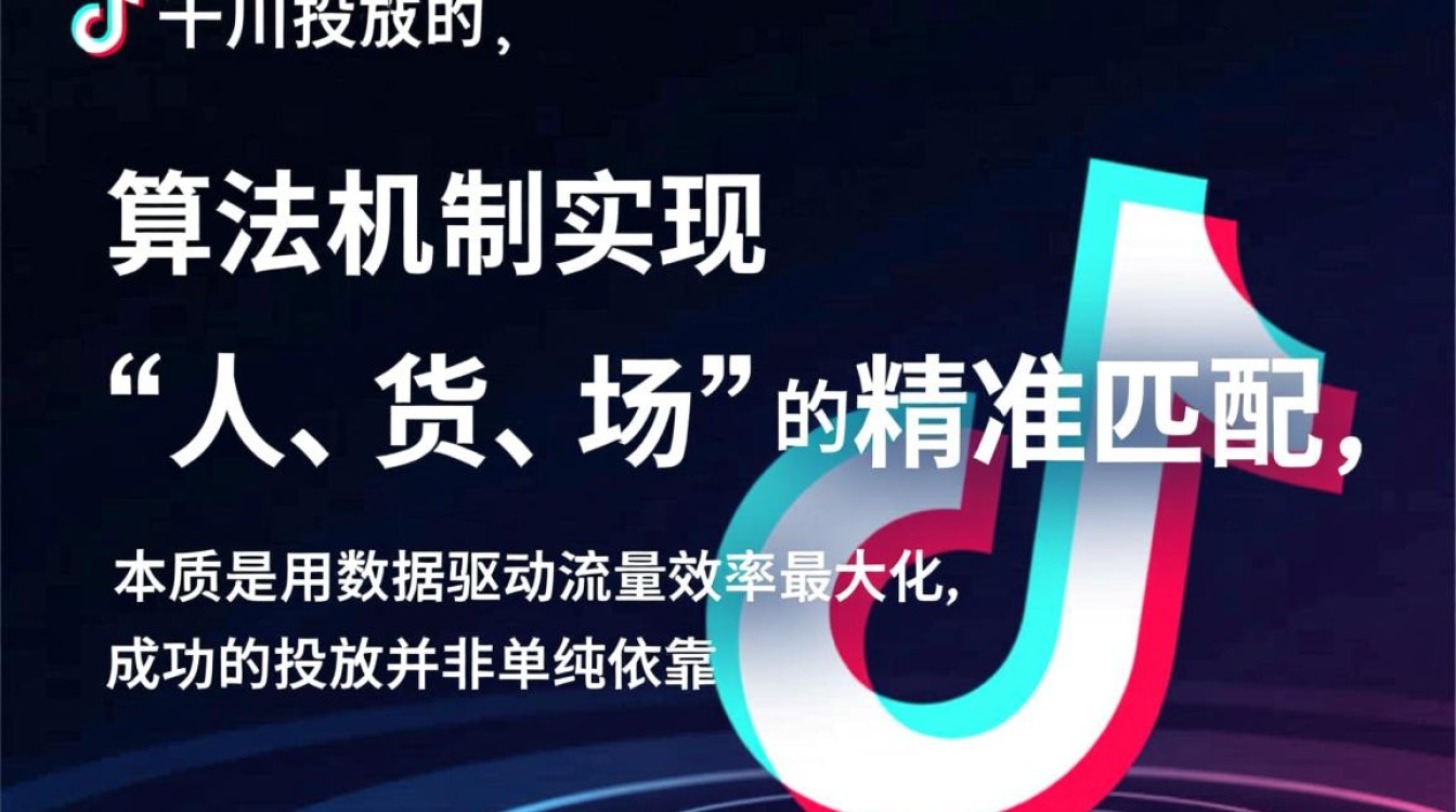 新手入门到进阶怎么玩