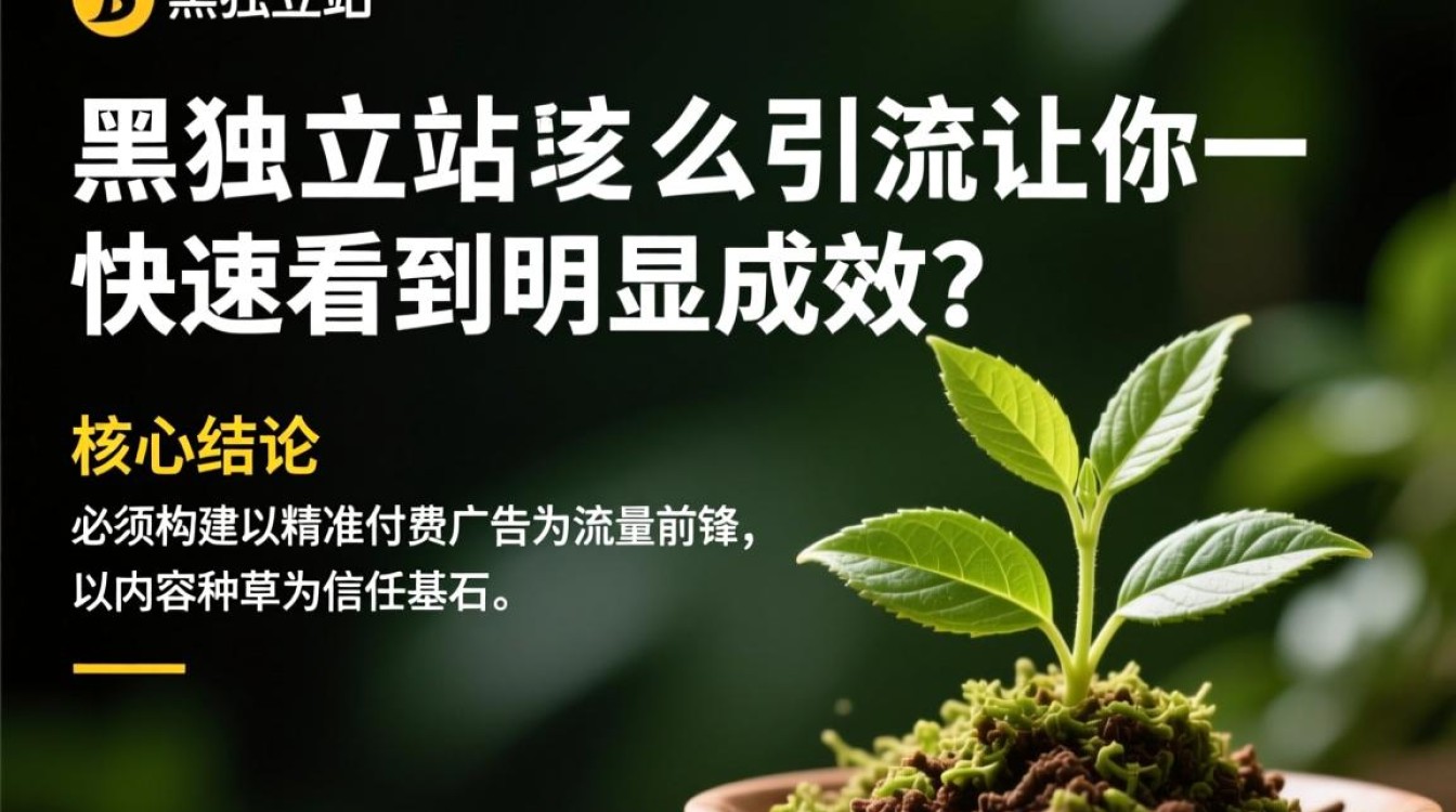 独立站引流方法有哪些