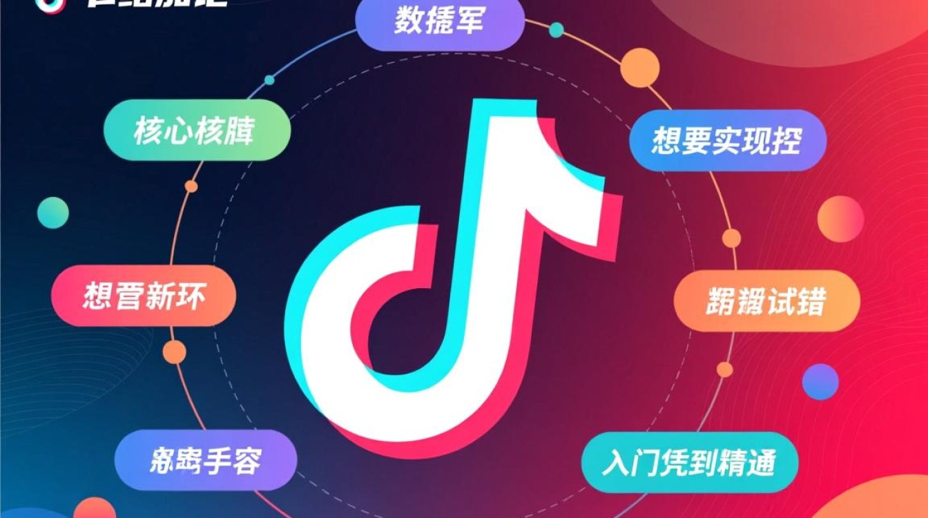 新手如何从入门到精通