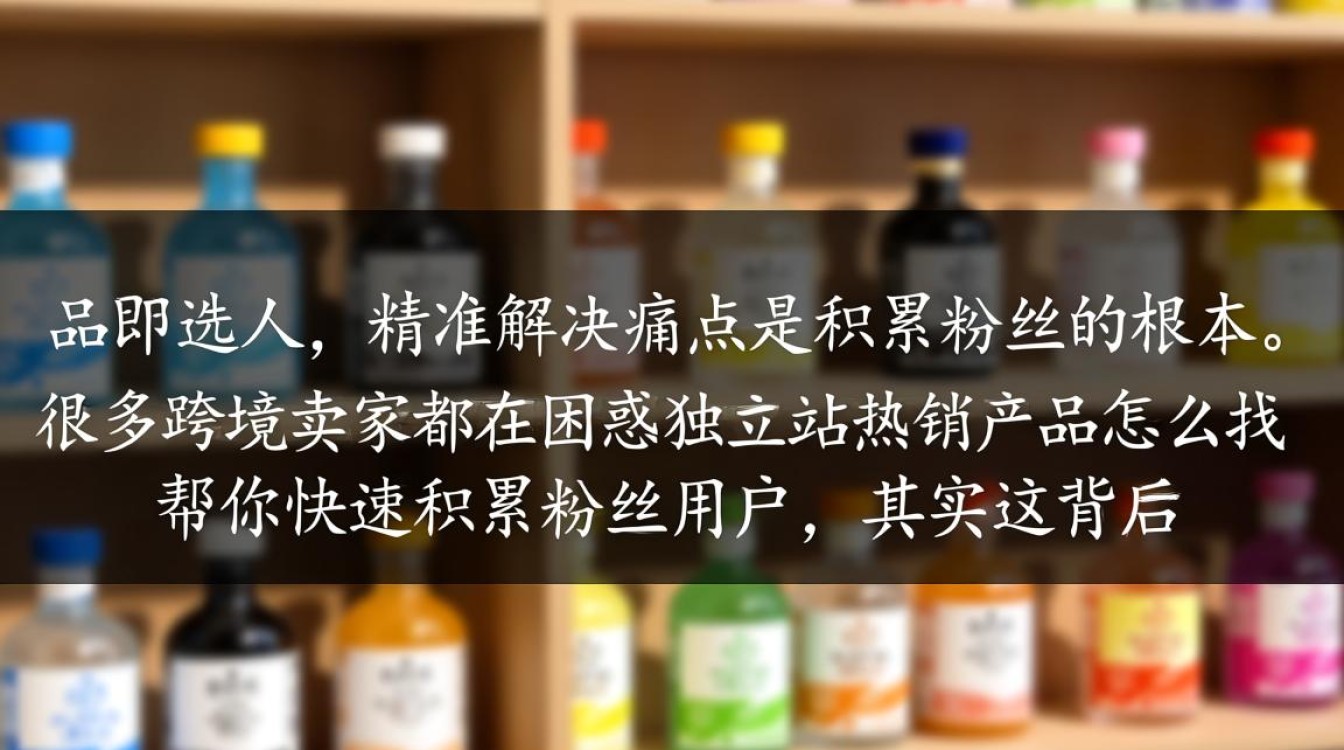 独立站热销产品怎么找,如何快速积累粉丝? 独立站热销产品怎么找