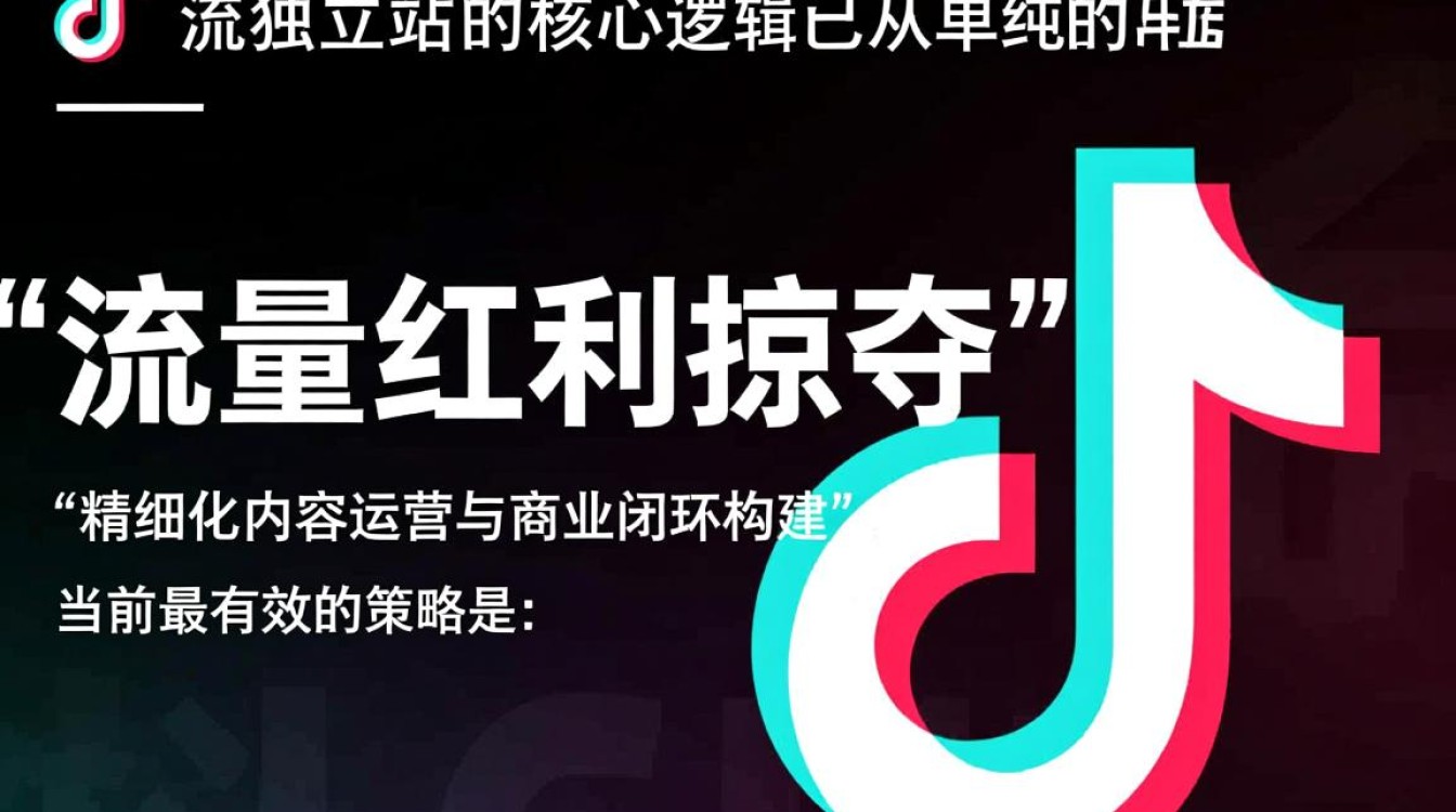 TikTok 现在怎么引流独立站