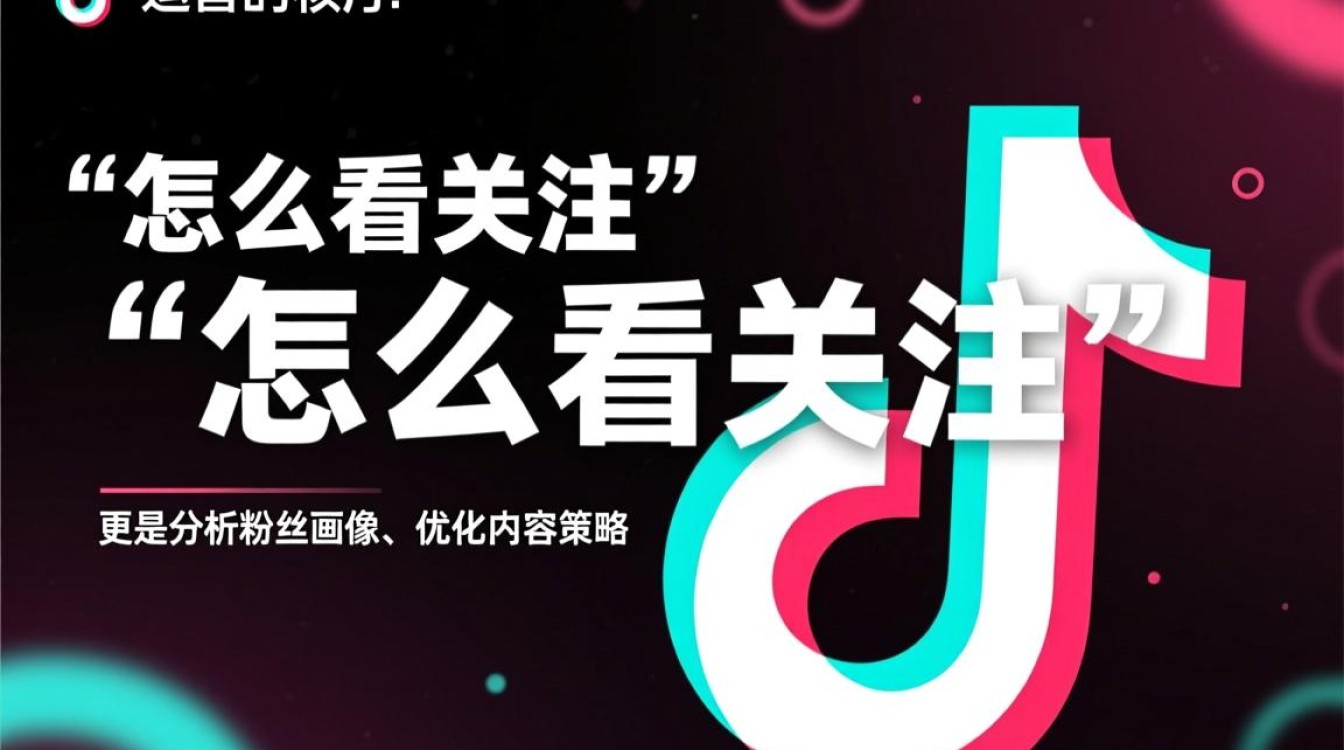 TikTok怎么看关注