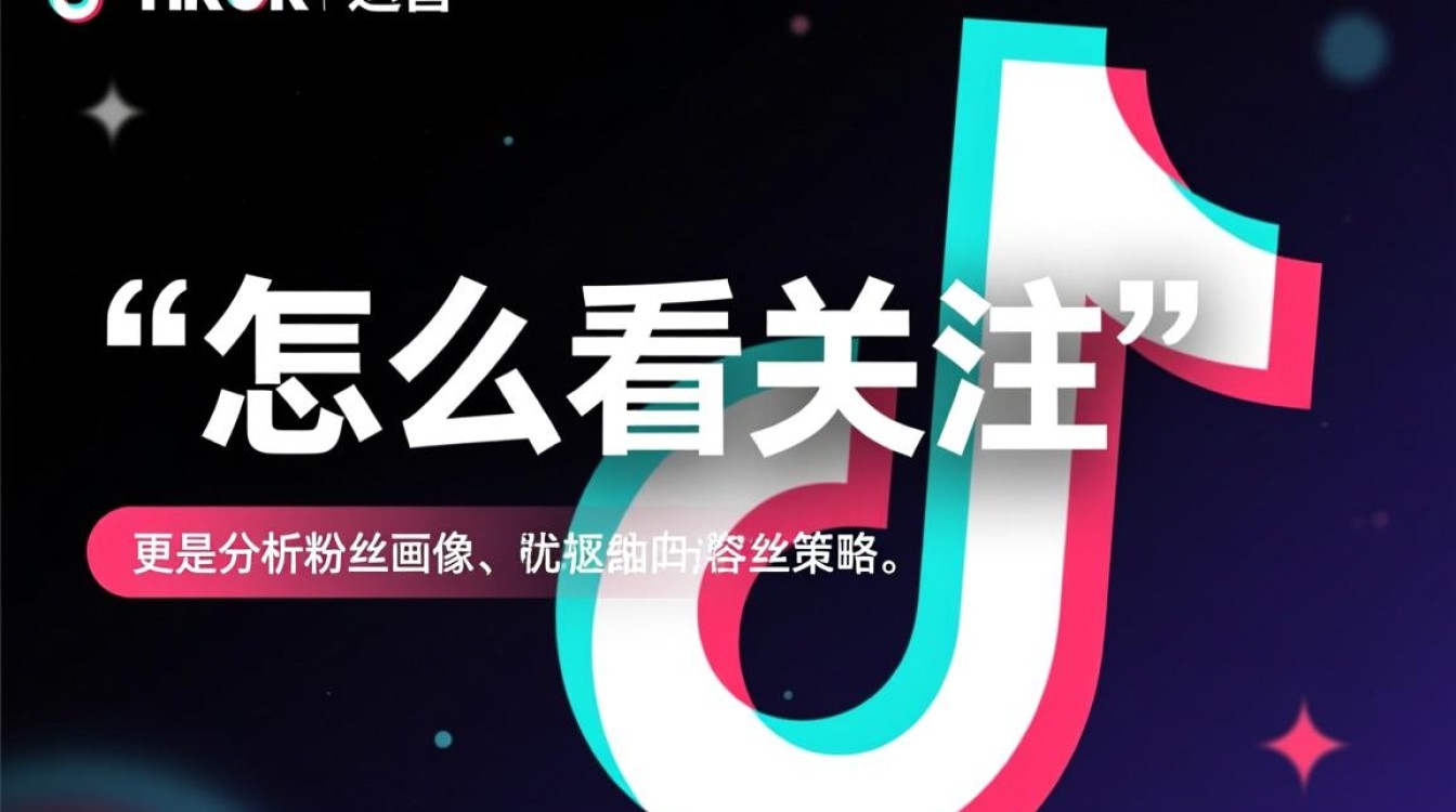 TikTok怎么看关注