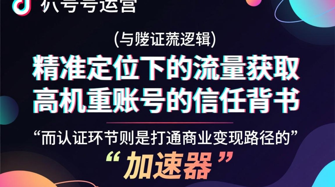 专业变现模式与技巧解析