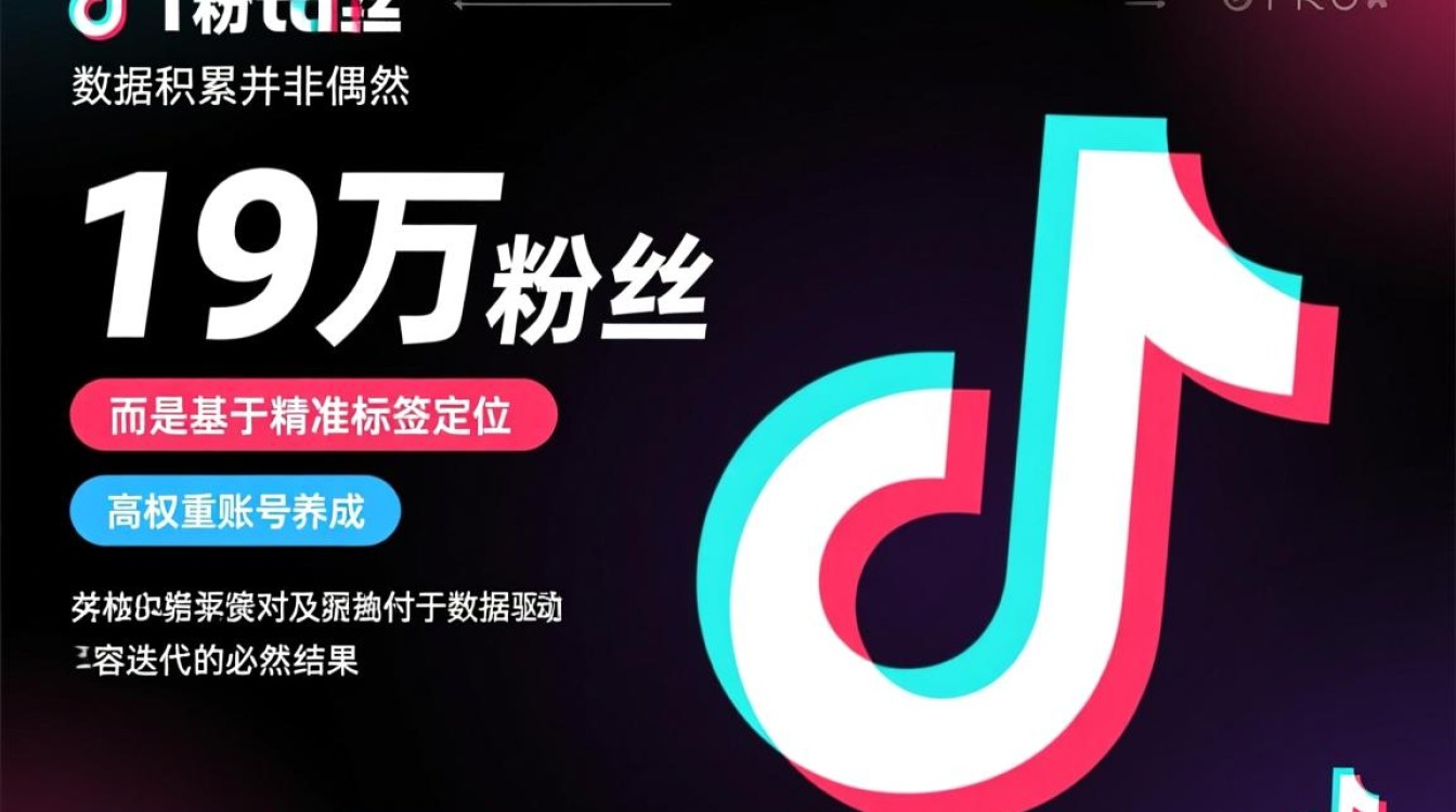 TikTok 19万数据如何运营