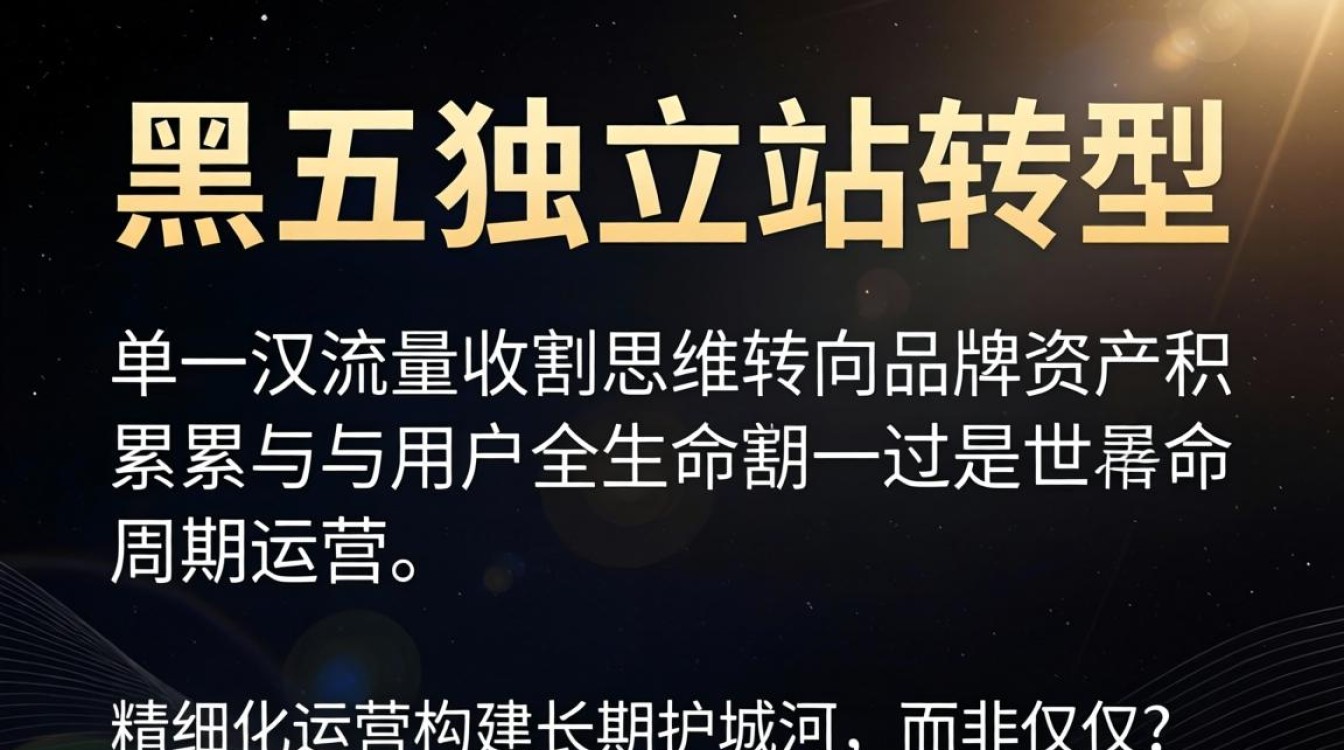 独立站黑五转型策略有哪些