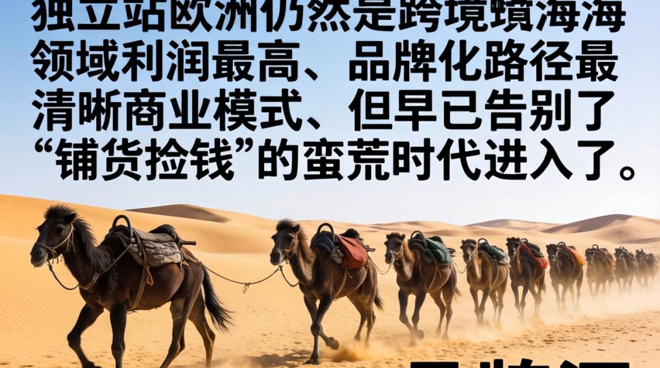 资深人士揭秘做独立站赚钱吗