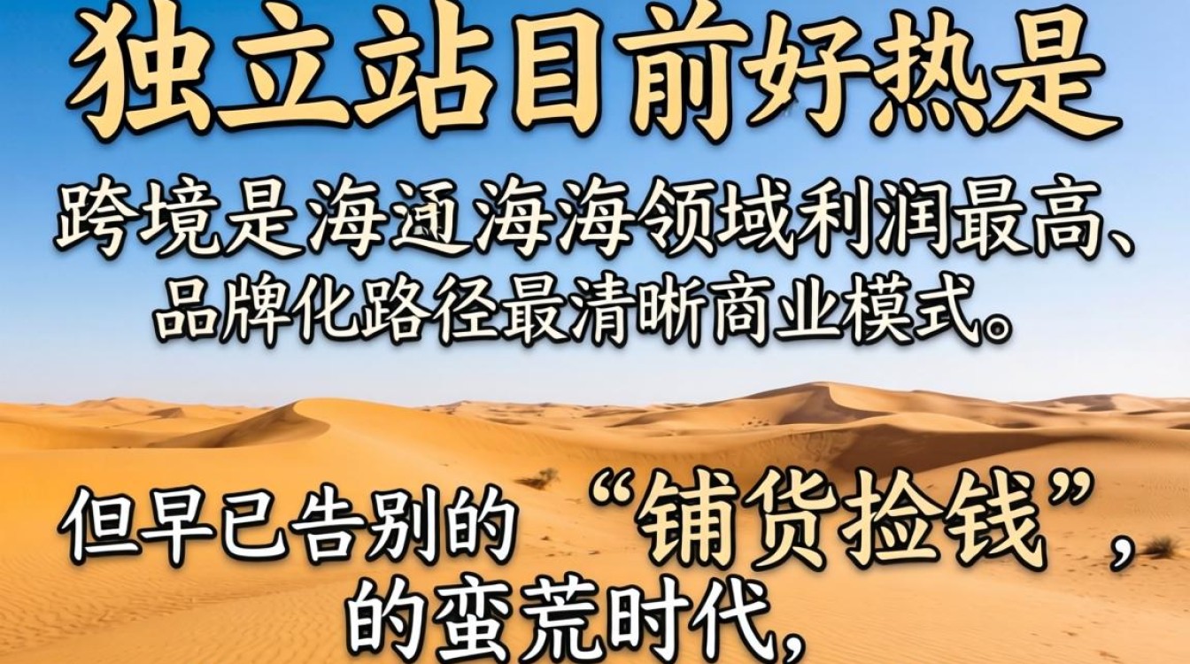 资深人士揭秘做独立站赚钱吗