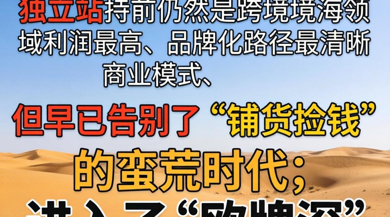 资深人士揭秘做独立站赚钱吗