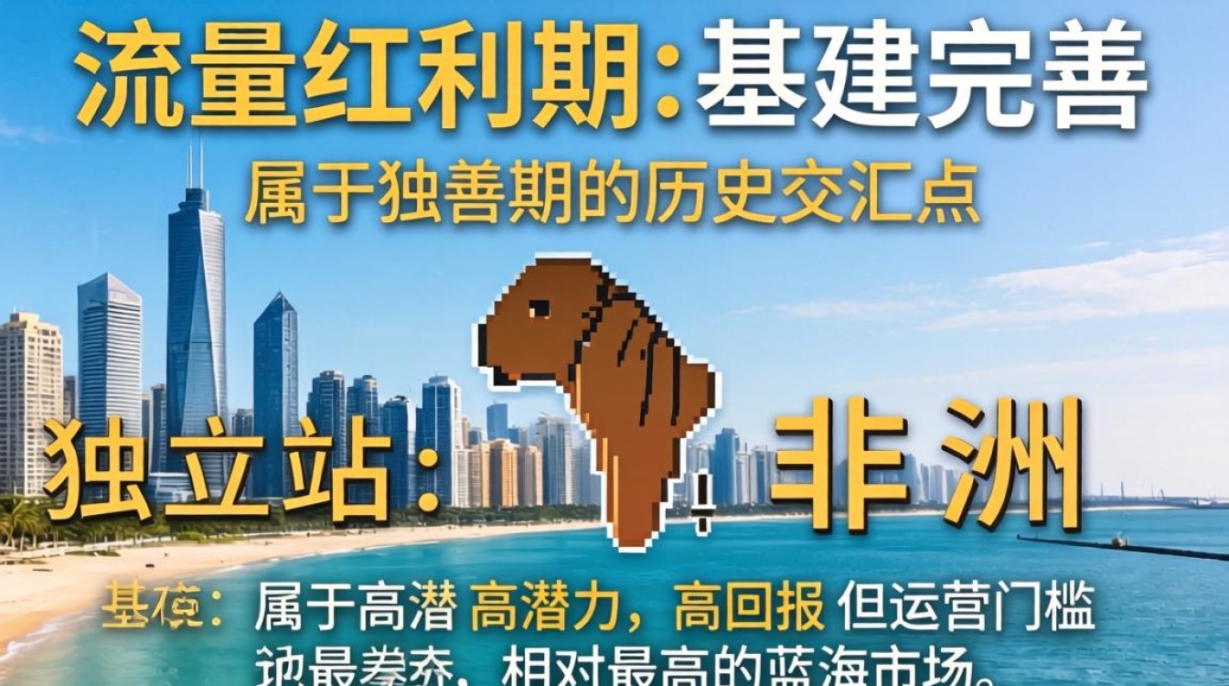 非洲独立站怎么样