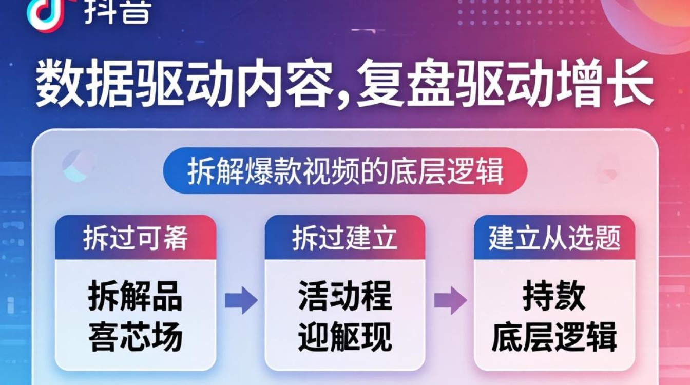 新手入门到精通全流程详解