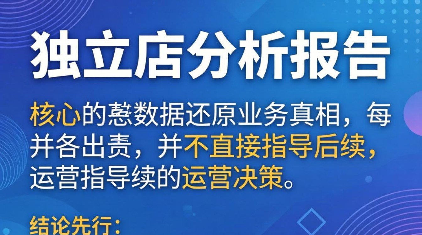 独立站分析报告怎么写