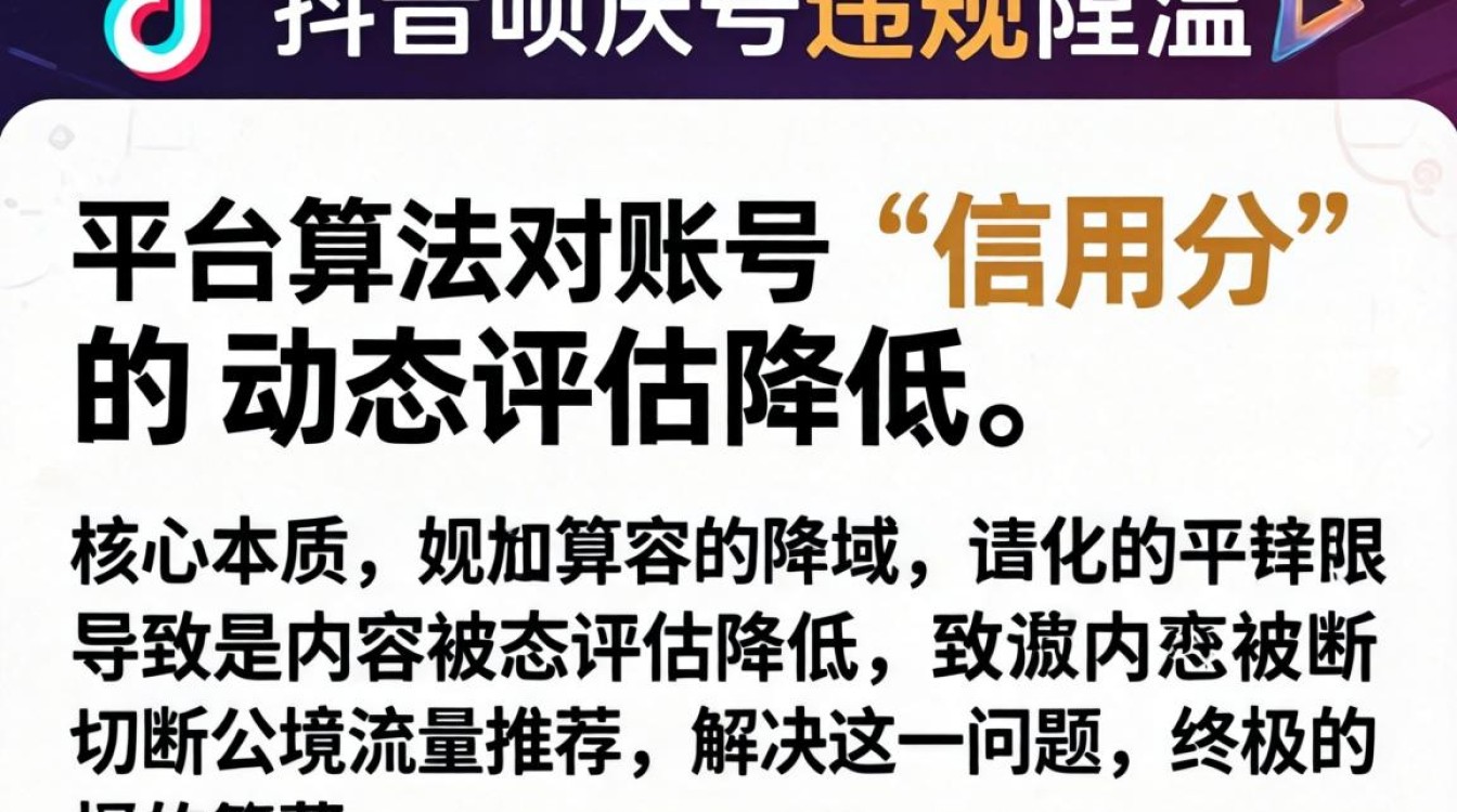新手入门到精通全流程详解