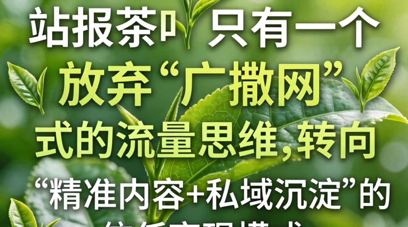 茶叶独立站推广引流方法有哪些