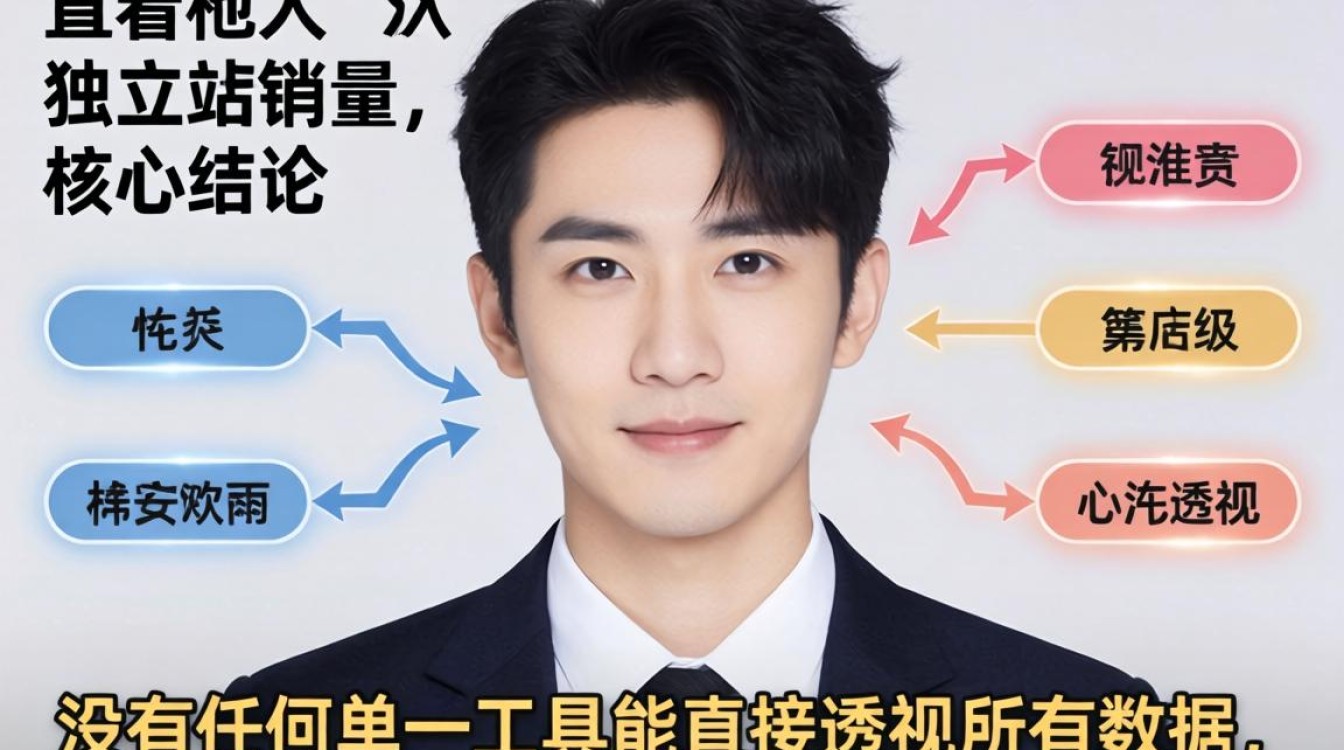 怎么查看别人独立站销量?独立站销量查询工具有哪些 独立站销量查询工具有哪些