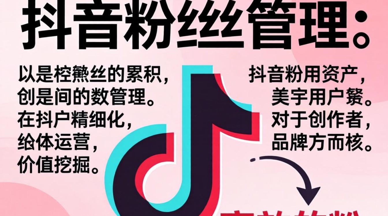 新手入门到精通全流程详解