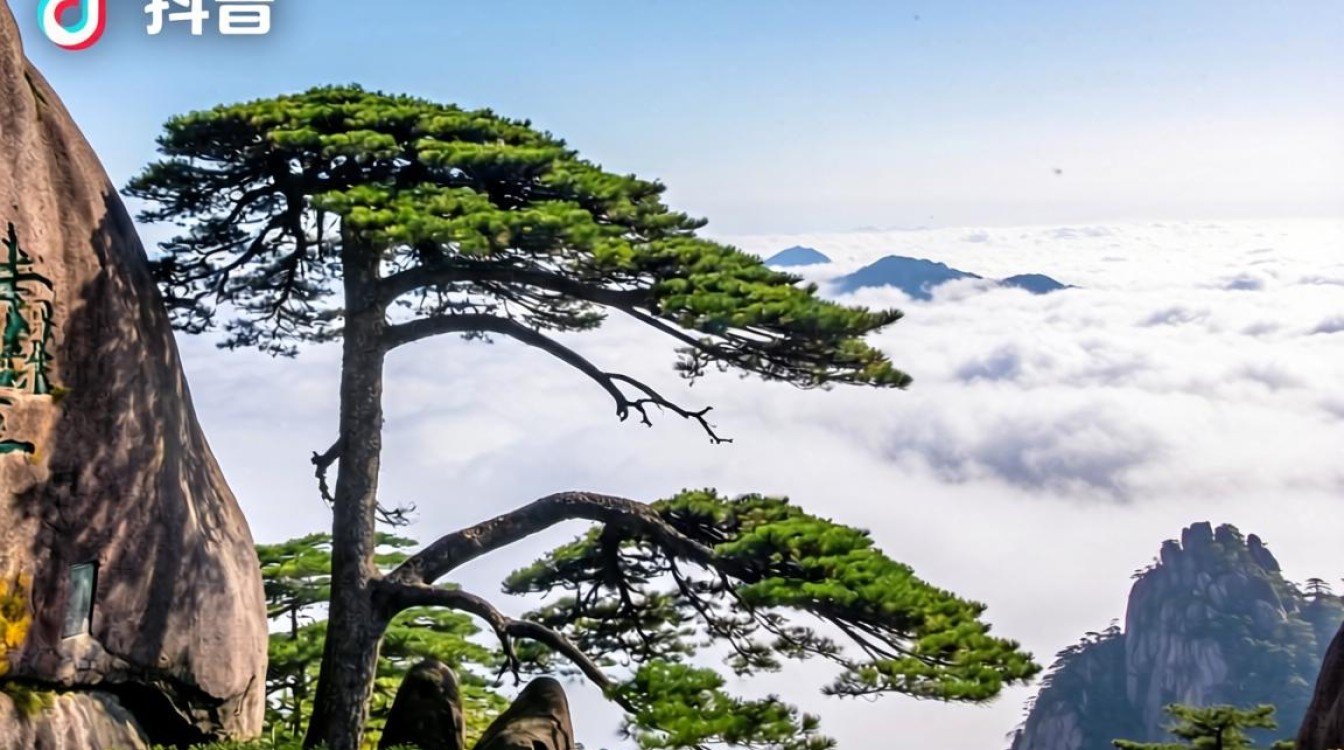 三清山tiktok实战技巧变现攻略