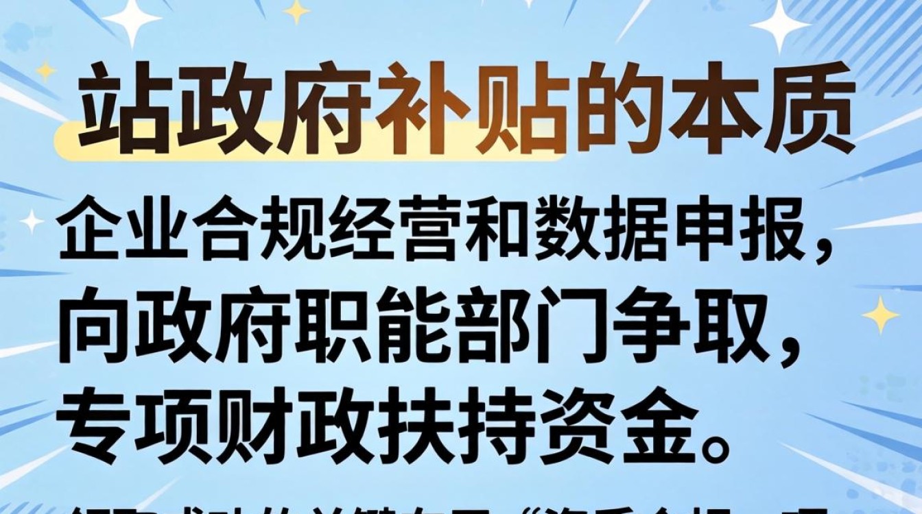 独立站政府补贴怎么领取
