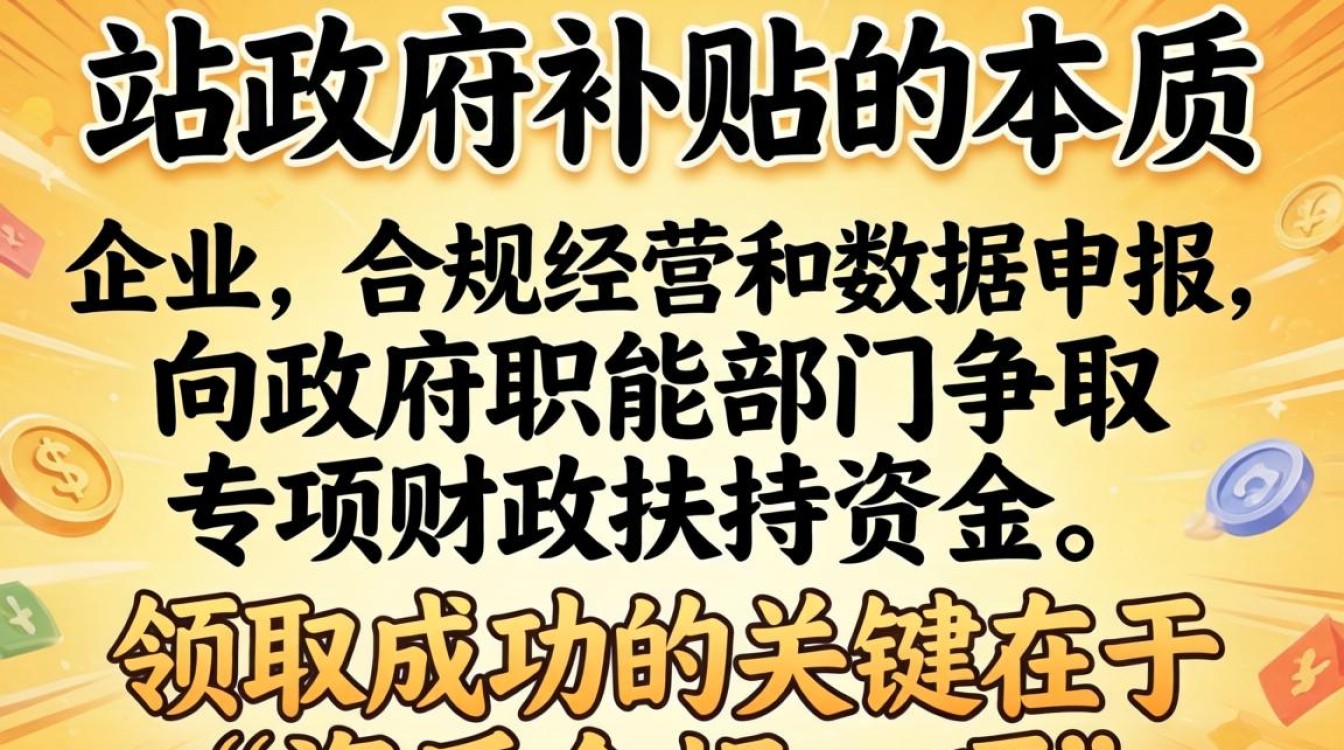 独立站政府补贴怎么领取