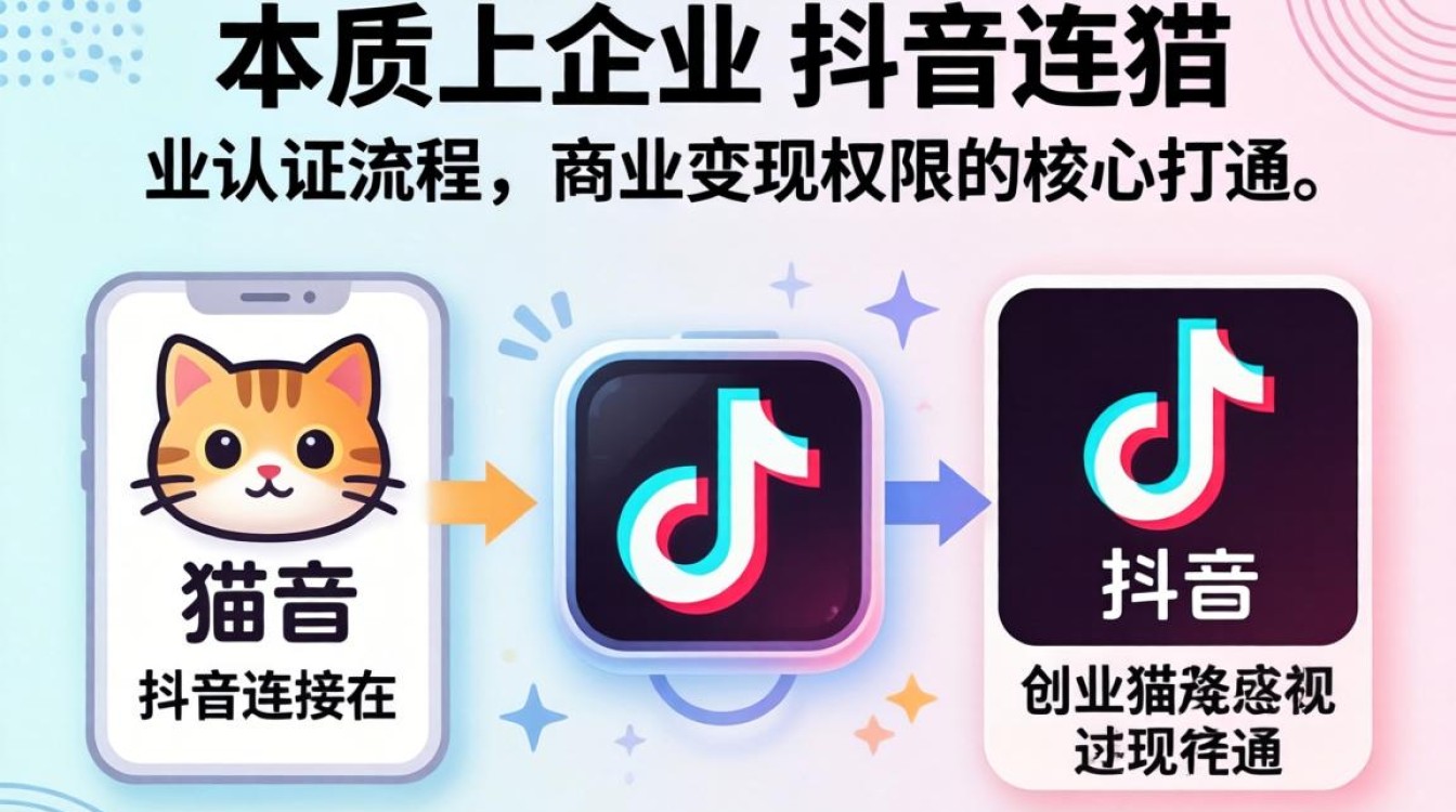 创业猫与抖音怎么连接的