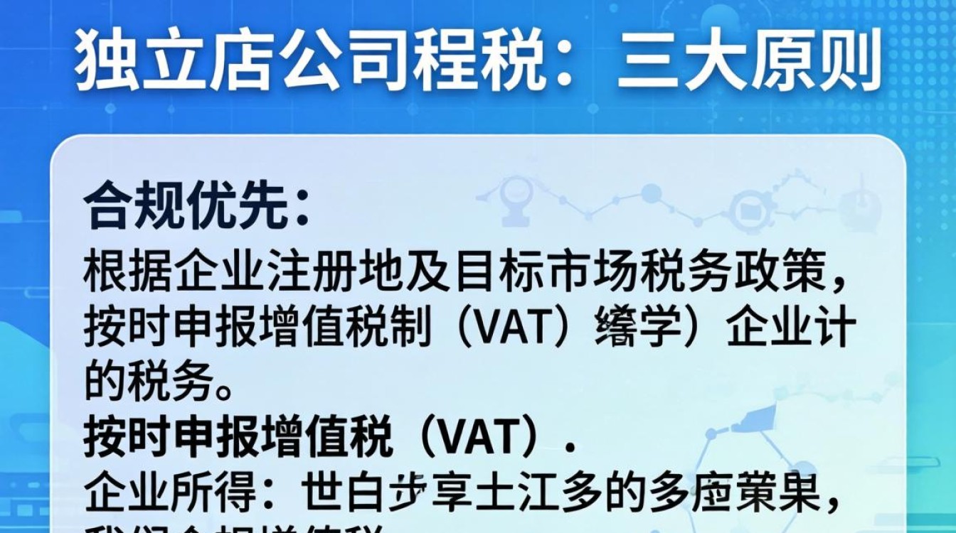 独立站报税流程及注意事项详解
