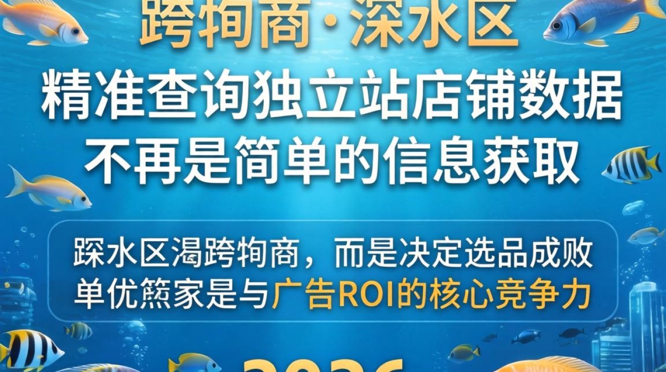 2026独立站店铺查询方法有哪些
