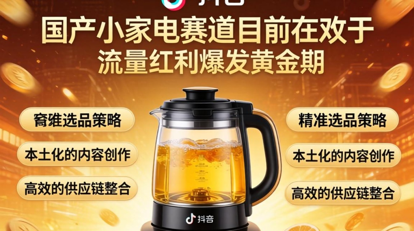 国产小家电如何在TikTok变现