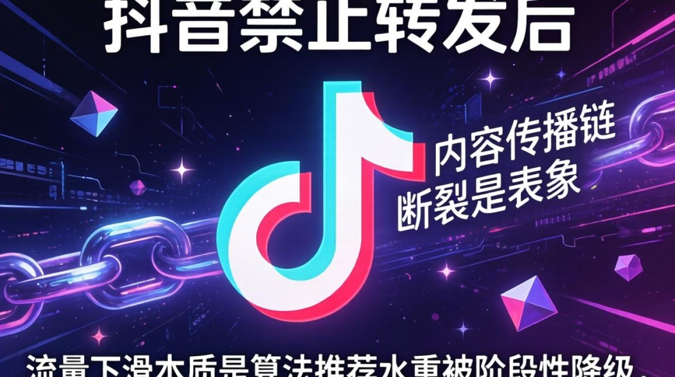 如何通过算法优化提升流量