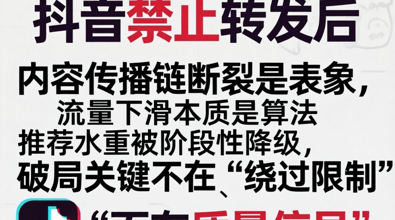 如何通过算法优化提升流量