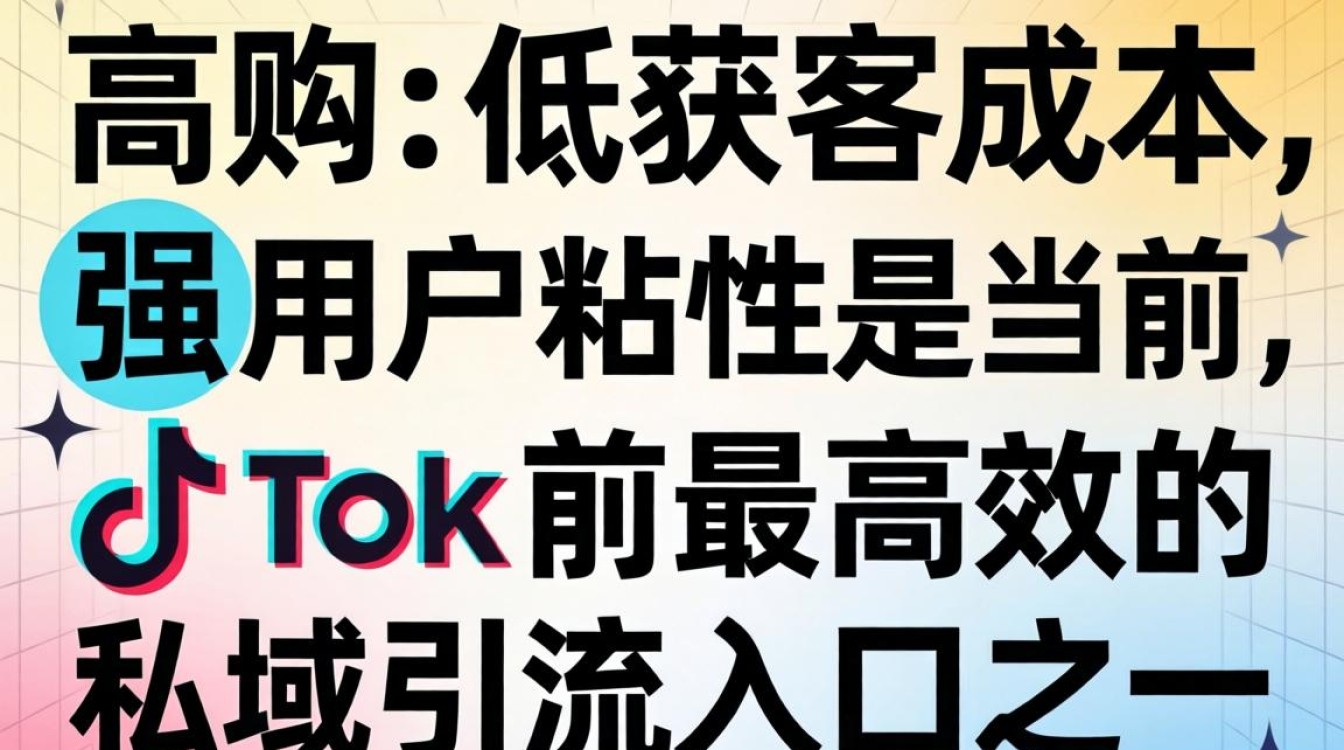 跨境电商私域流量怎么做?TikTok跨境电商变现方法汇总 TikTok跨境电商变现方法汇总