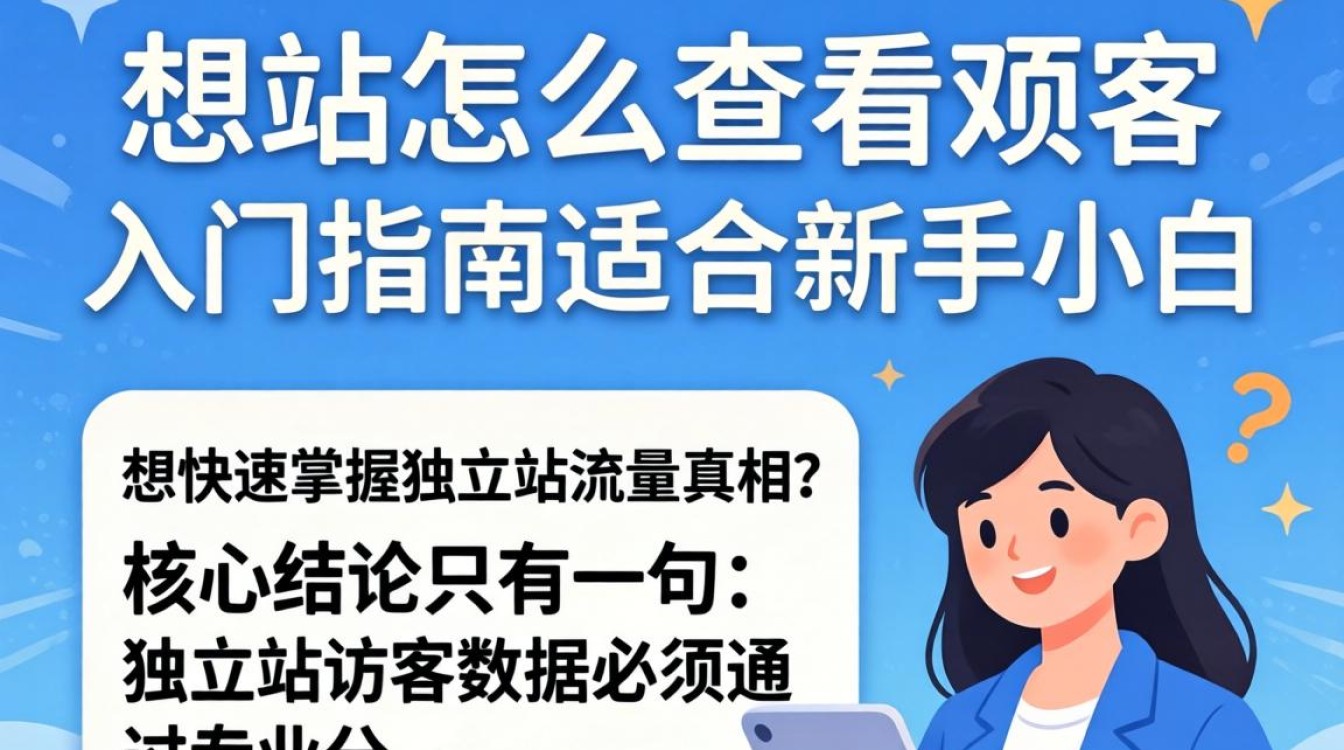 独立站怎么查看访客?独立站访客统计方法新手入门指南 独立站访客统计方法新手入门指南