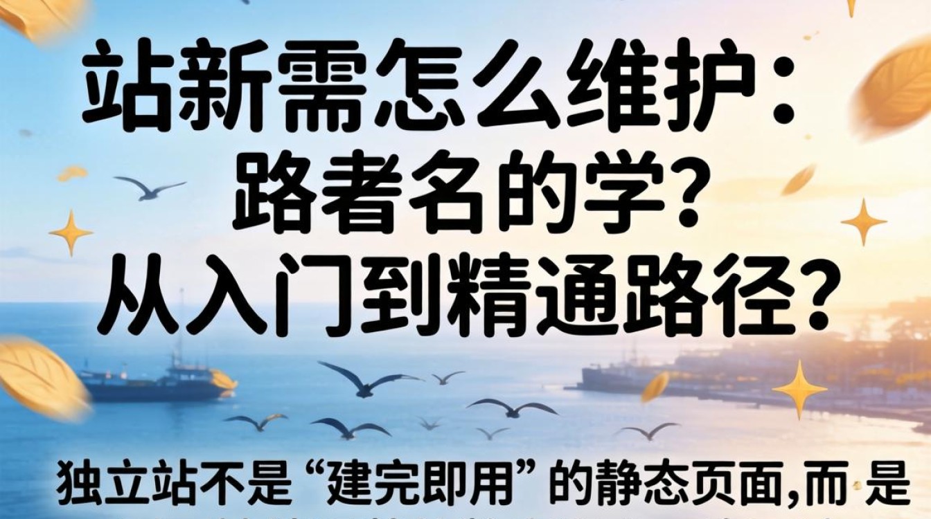 独立站需要怎么维护?怎么学?独立站运营维护从入门到精通路径 独立站运营维护从入门到精通路径