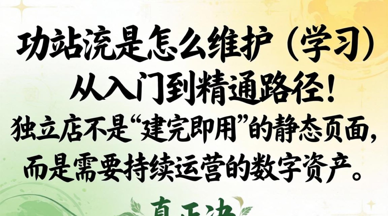 独立站需要怎么维护?怎么学?独立站运营维护从入门到精通路径 独立站运营维护从入门到精通路径