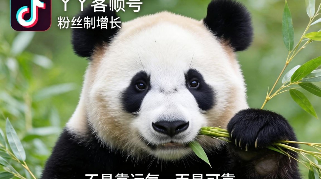 TikTok如何快速提升大熊猫丫丫账号粉丝量?丫丫TikTok运营秘籍 TikTok如何快速提升大熊猫丫丫账号粉丝量