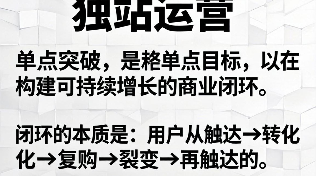 独立站运营闭环核心技巧提升效率