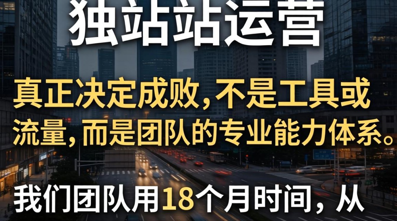 专业团队实战总结报告