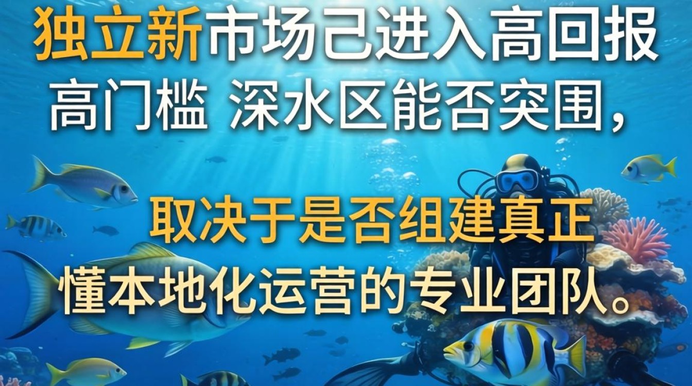 独立站新市场开发流程与实操指南