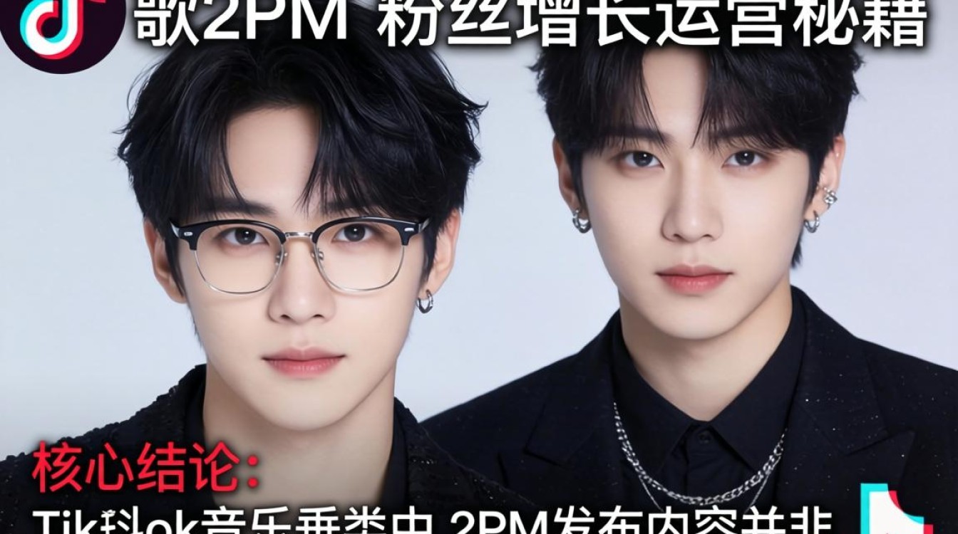 TikTok 歌手粉丝增长运营秘籍