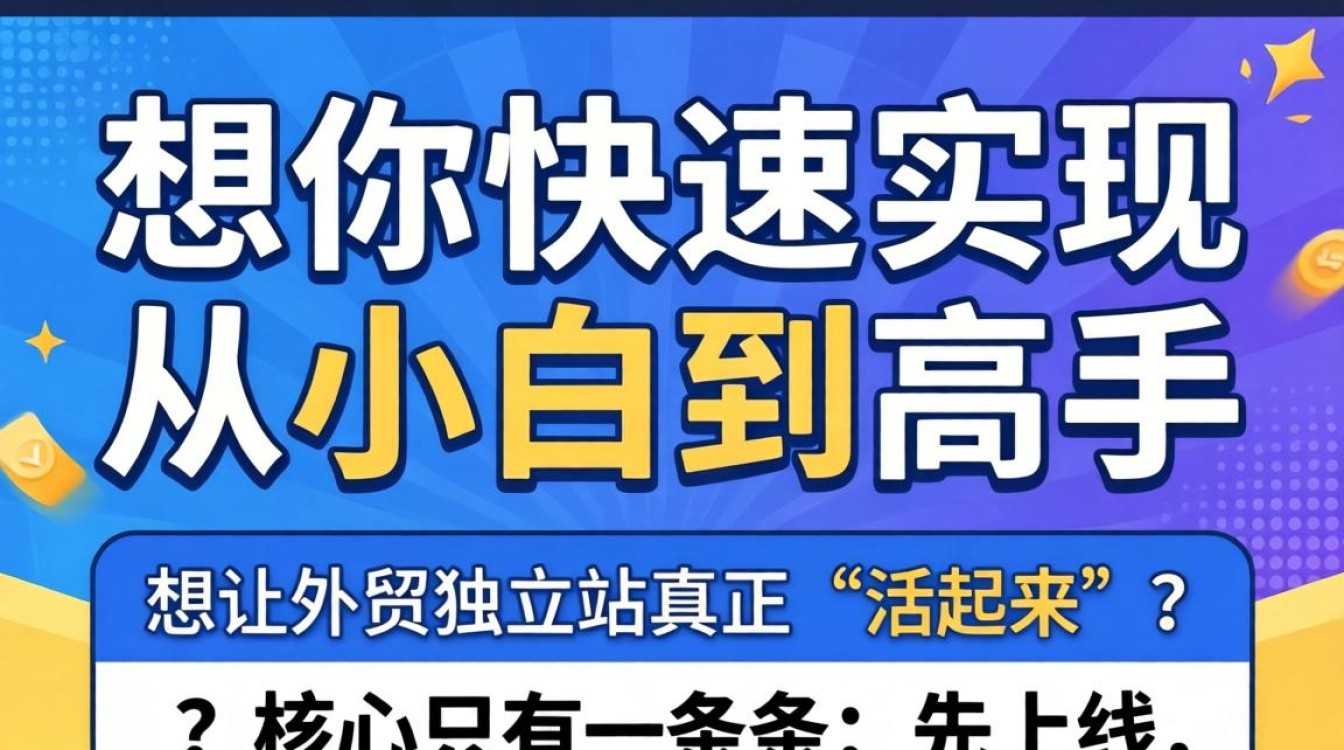 外贸独立站怎么入线