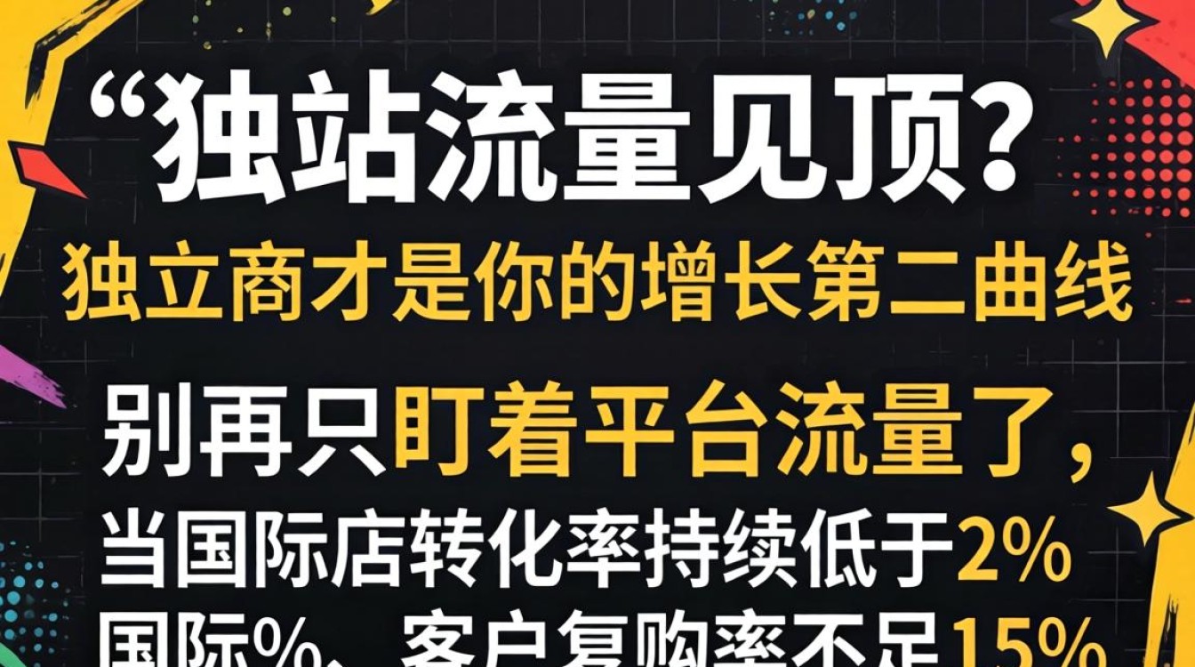 如何从小白快速进阶独立站运营高手
