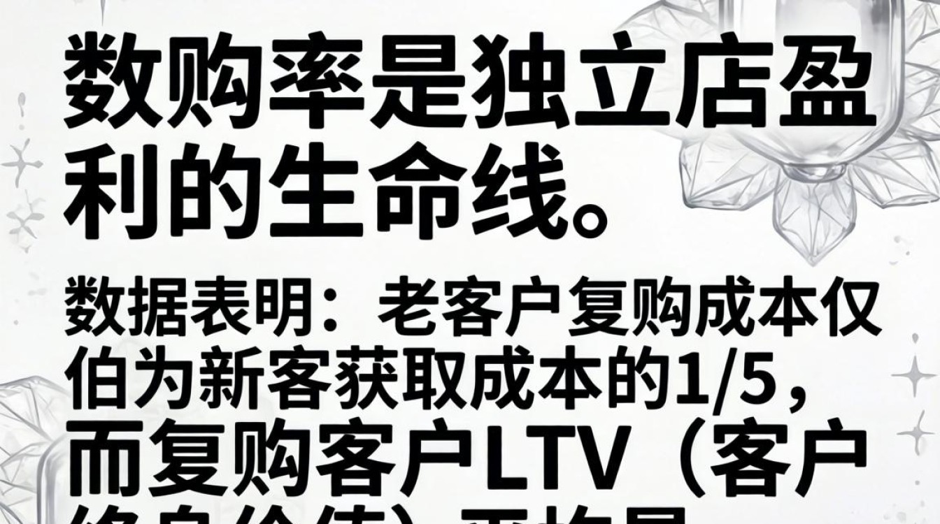 独立站复购怎么做才能快速提升