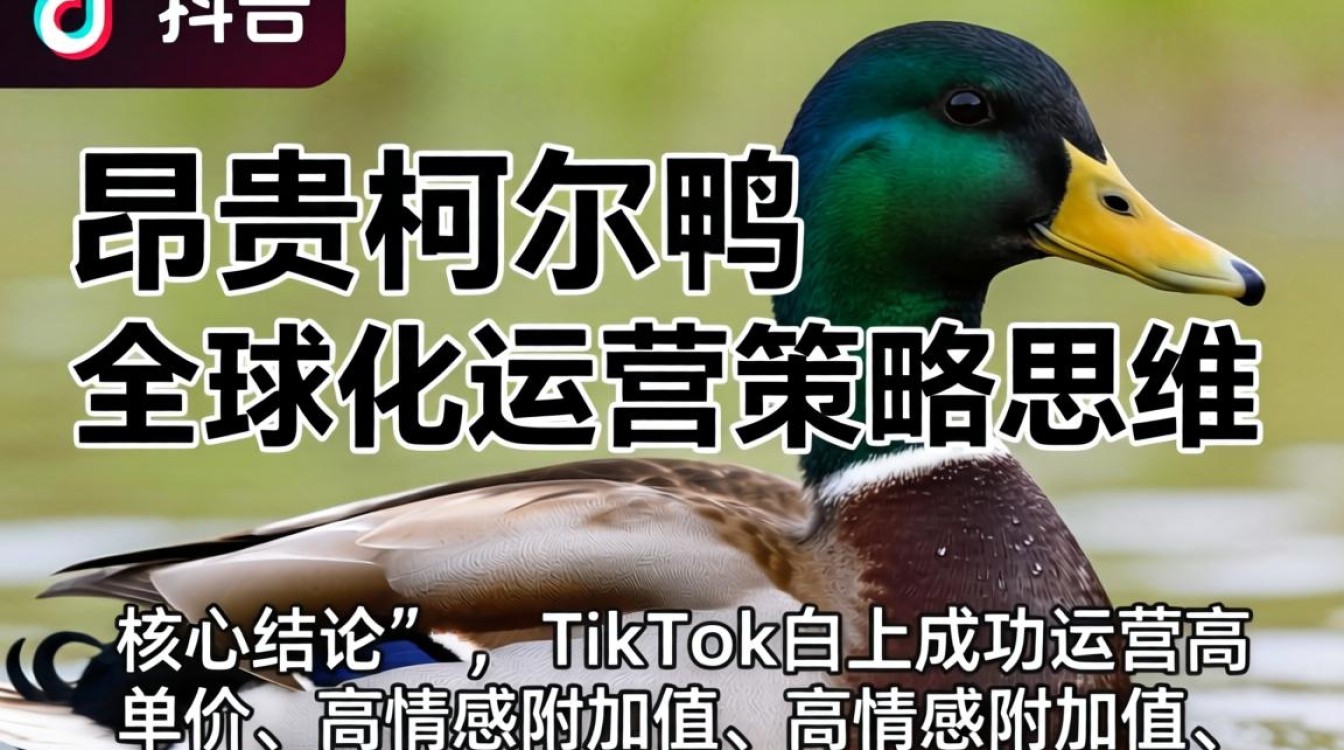 TikTok 昂贵柯尔鸭 全球化运营策略思维