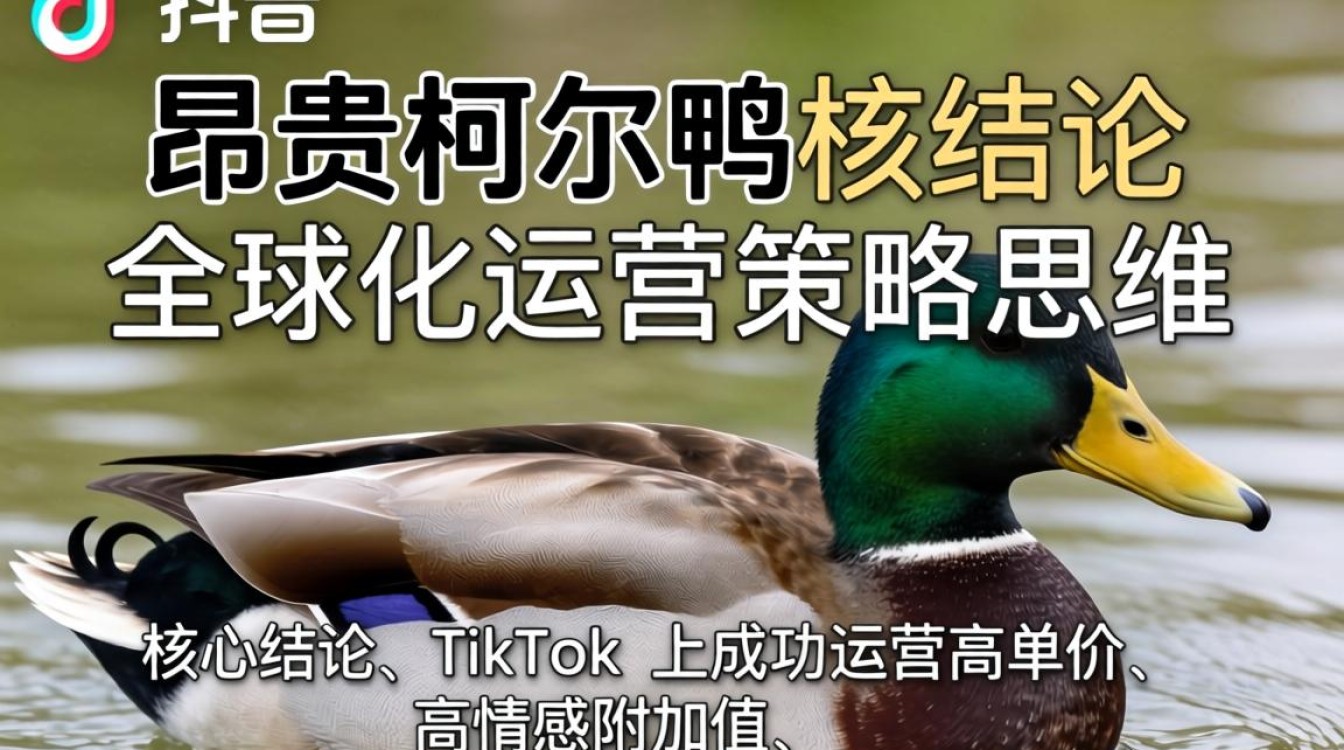 TikTok 昂贵柯尔鸭 全球化运营策略思维