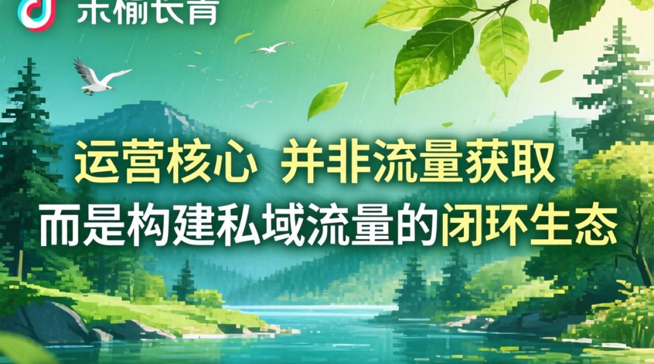 Tiktok私域流量变现方法