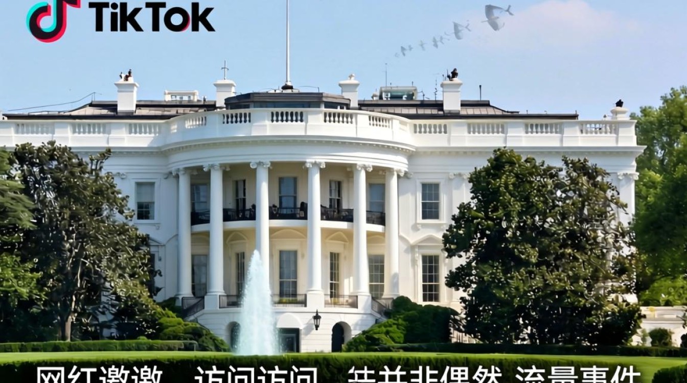 TikTok 网红去白宫是真是假